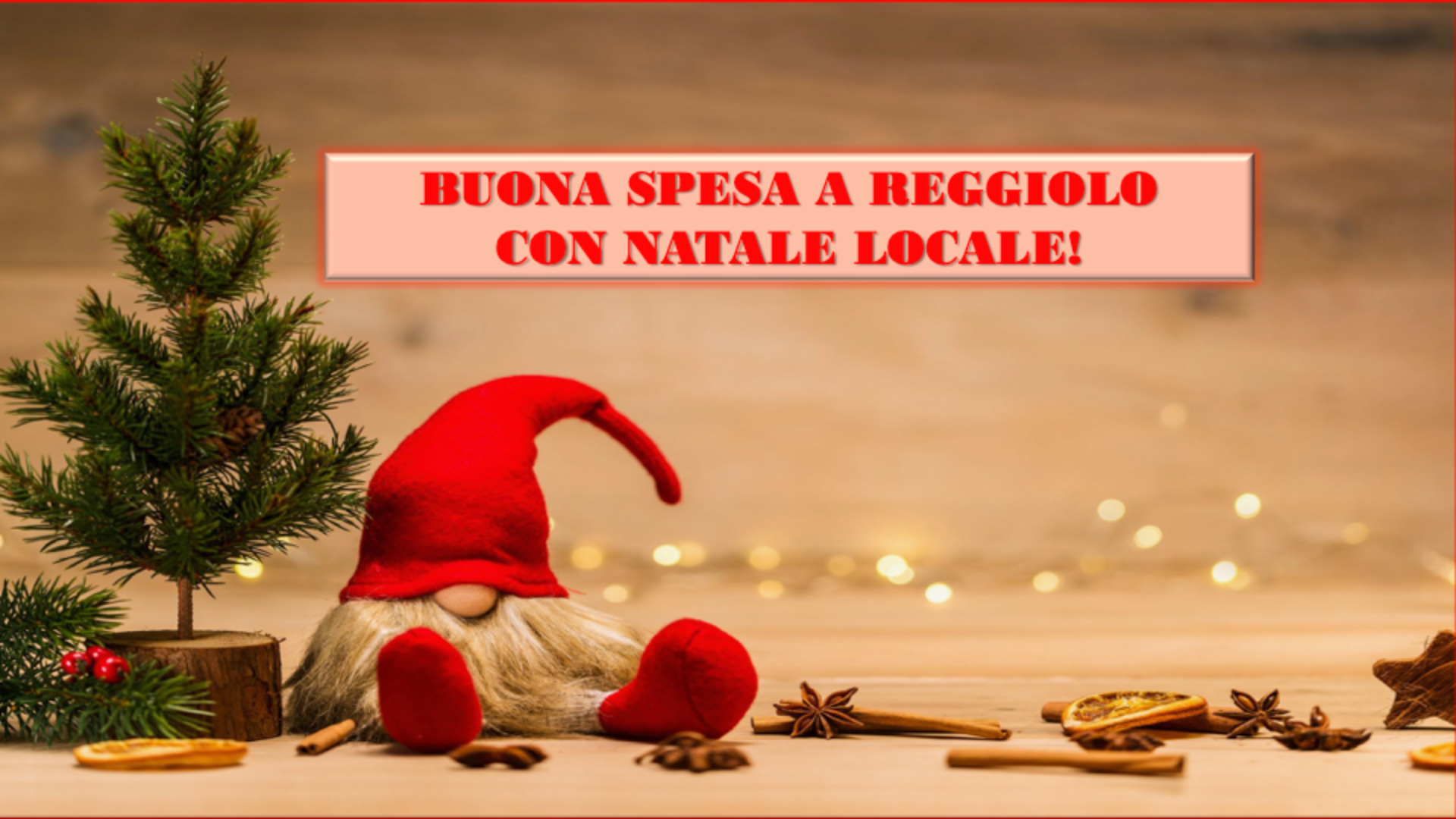 Elenco dei negozi che hanno aderito all'iniziativa "Natale Locale" 