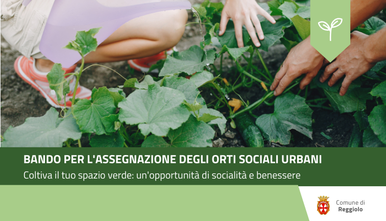 Bando pubblico per l'assegnazione degli orti sociali 