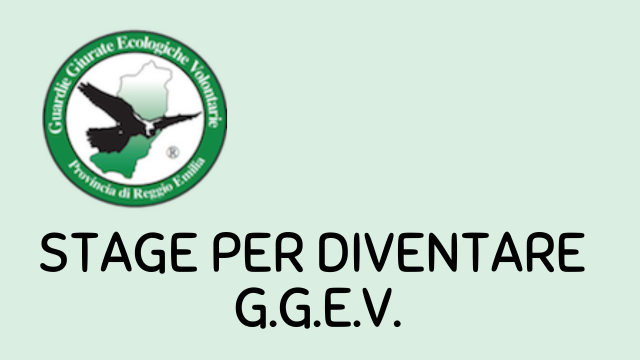 Stage per diventare G.G.E.V.